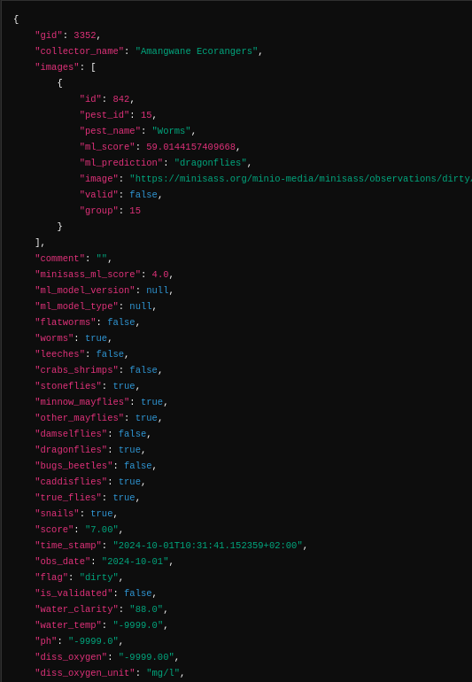 Json Format